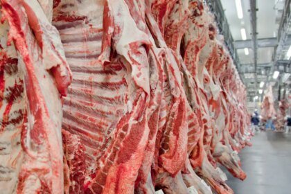 Governo promete reverter veto da UE a carnes e animais brasileiros