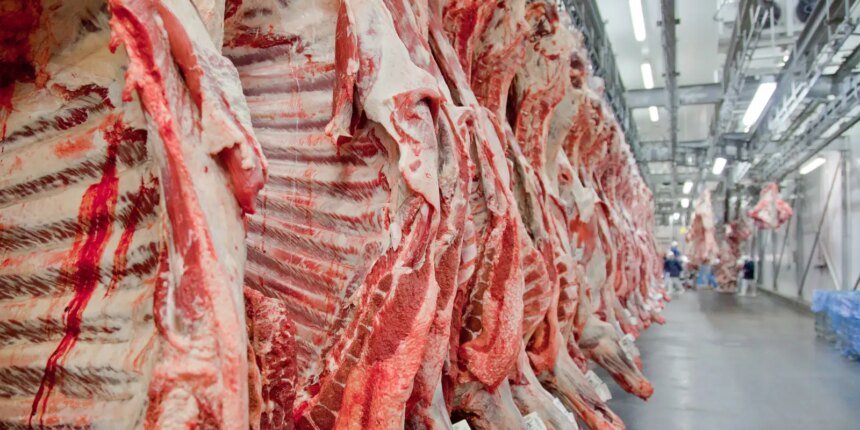 Governo promete reverter veto da UE a carnes e animais brasileiros