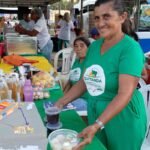 Agricultores familiares aumentam renda em 30% com programa federal