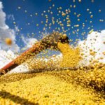 Conab: produção de grãos pode chegar a 358,6 milhões de toneladas