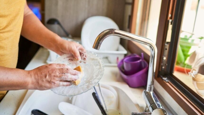 Esponja de cozinha pode esconder bactérias; veja quando trocar