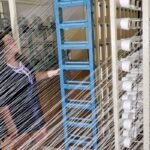 Finep financia estruturação da cadeia produtiva da malva na Amazônia