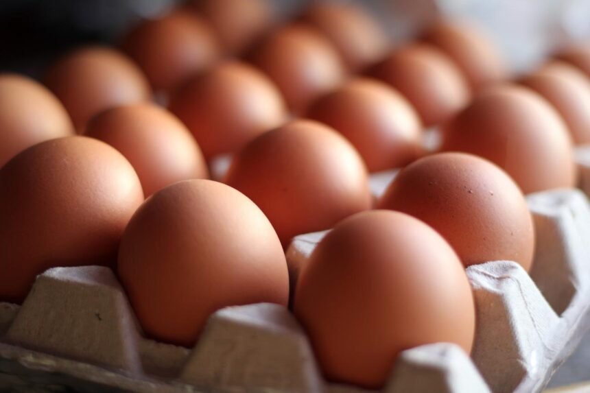 Com poucos ingredientes, os ovos ajudam a criar refeições práticas e saborosas para qualquer momento do dia
