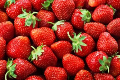 Janta em 15 minutos? 7 receitas para quando a fome aperta