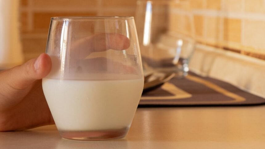 Leite cru, pasteurizado ou longa vida: o que realmente muda entre eles?