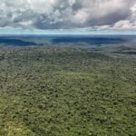 Adversária em campo, Noruega é parceria de ações ambientais do Brasil