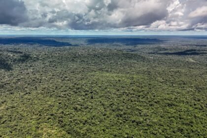 Adversária em campo, Noruega é parceria de ações ambientais do Brasil