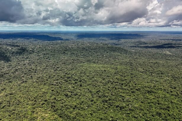 Adversária em campo, Noruega é parceria de ações ambientais do Brasil