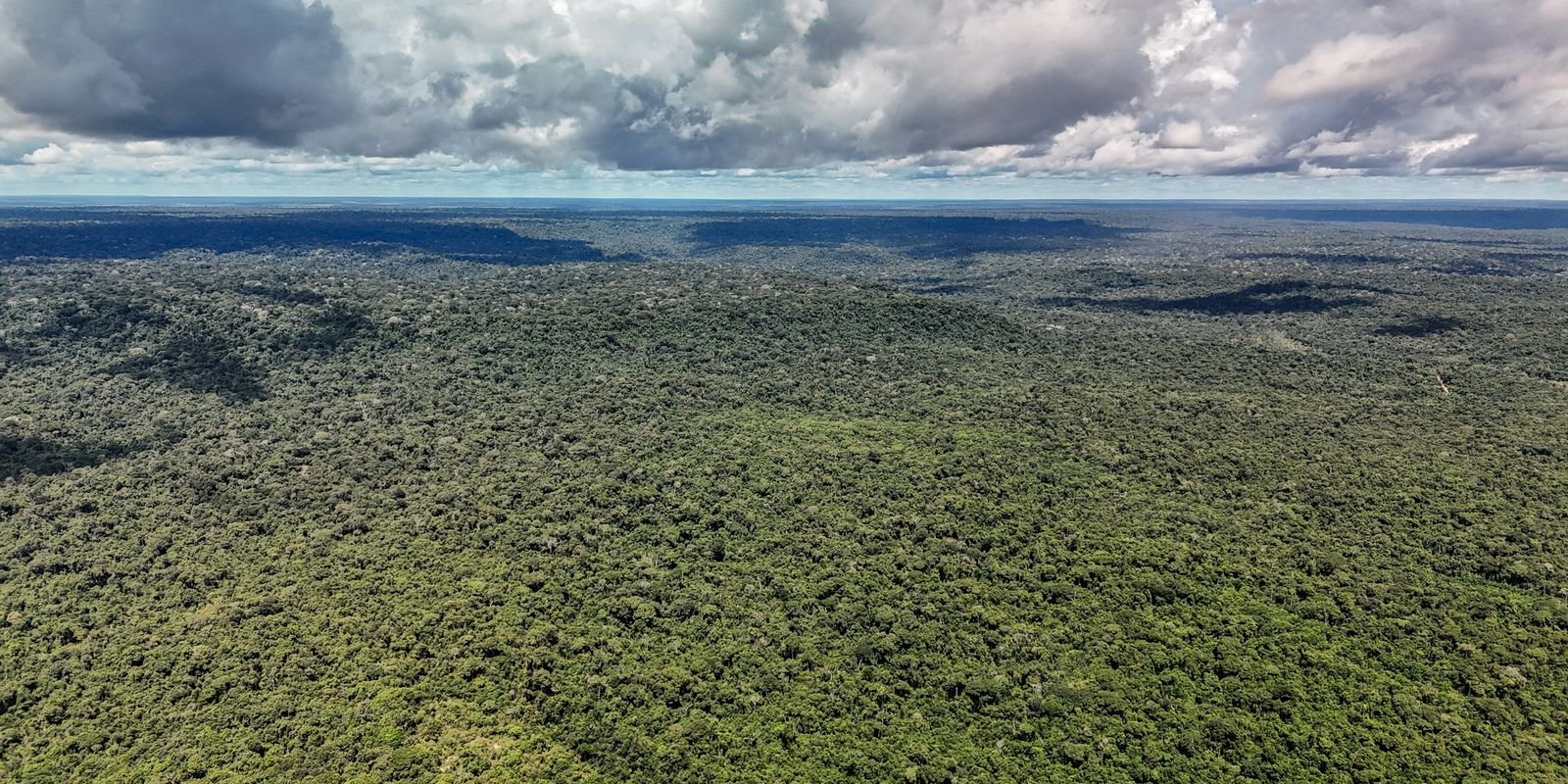 Adversária em campo, Noruega é parceria de ações ambientais do Brasil