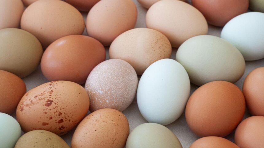 Como cozinhar ovos com limão: descubra por que esse truque faz sucesso