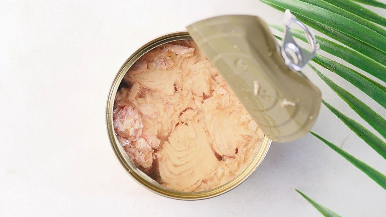 Devo jogar fora o óleo da lata de atum? Veja o que é mais indicado