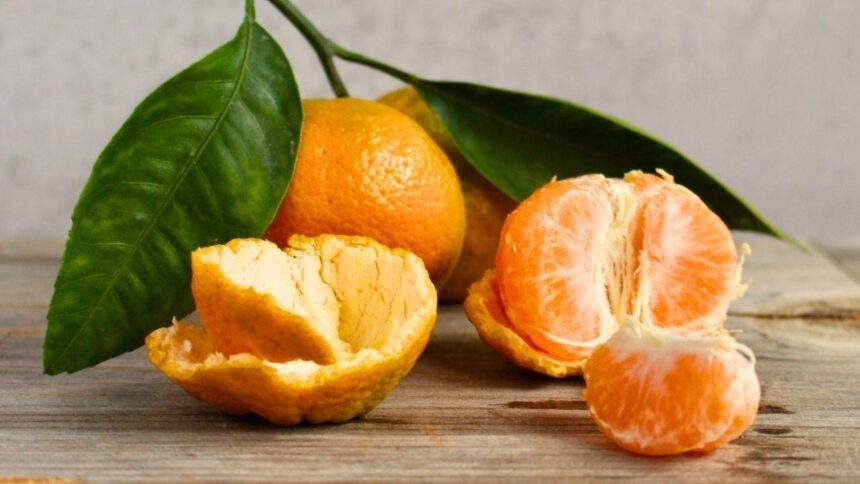 É época de tangerina! truques para acertar na escolha e aproveitar a fruta