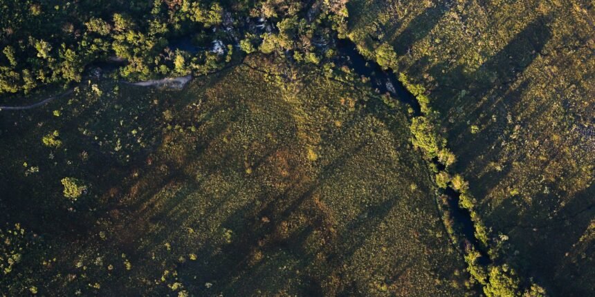 Financiamentos a projetos rurais sustentáveis terão juros mais baixos
