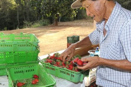 Finep vai pagar R$ 220 milhões para inovações em agricultura familiar