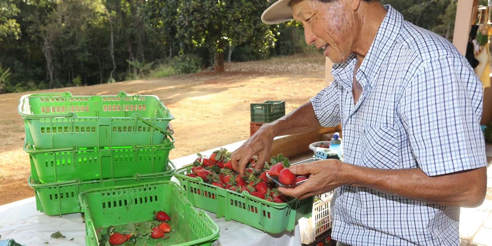 Finep vai pagar R$ 220 milhões para inovações em agricultura familiar