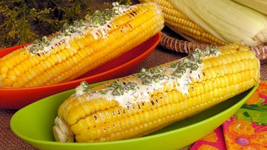 Muito além da pamonha: 8 receitas com milho para variar o cardápio