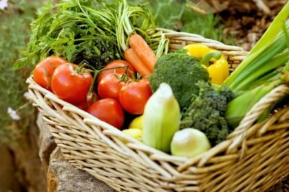 O que plantar em julho? Cores e sabores para renovar sua horta