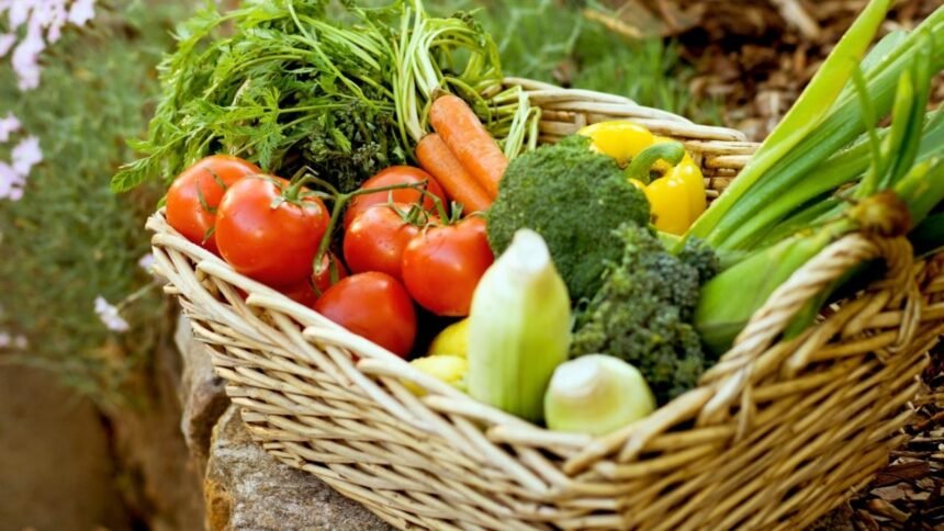 O que plantar em julho? Cores e sabores para renovar sua horta